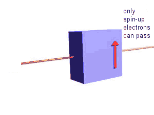 Spin